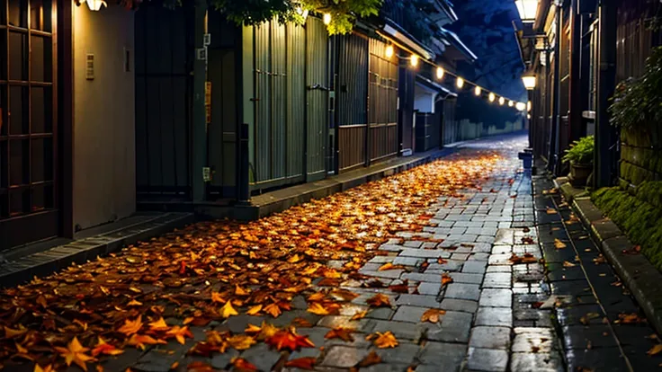 night，camphor，dim street lights，quiet street，fallen leaves，drizzle，really