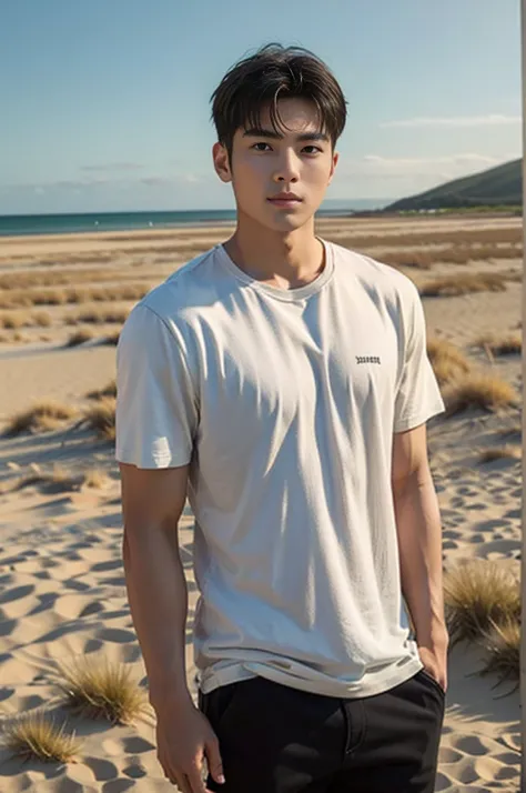 A young Asian man stands, handsome, muscular, looking at the camera. In a plain brown t-shirt, Fieldside, grass, beach, sunlight