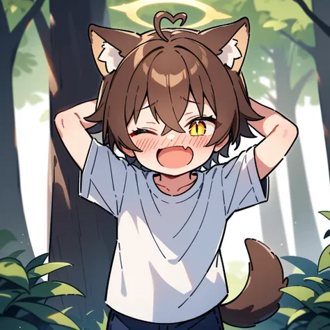 （masterpiece：1.2，high quality），4K，High resolution，A seven-year-old boy，cute boy， brown hair，short hair，crossed bangs，yellow eyes，slit pupils，one eye closed，heart ahoge，yellow halo，cat ears，full-face blush，laughing，skin fang，Wearing a white shirt，dark blue ...