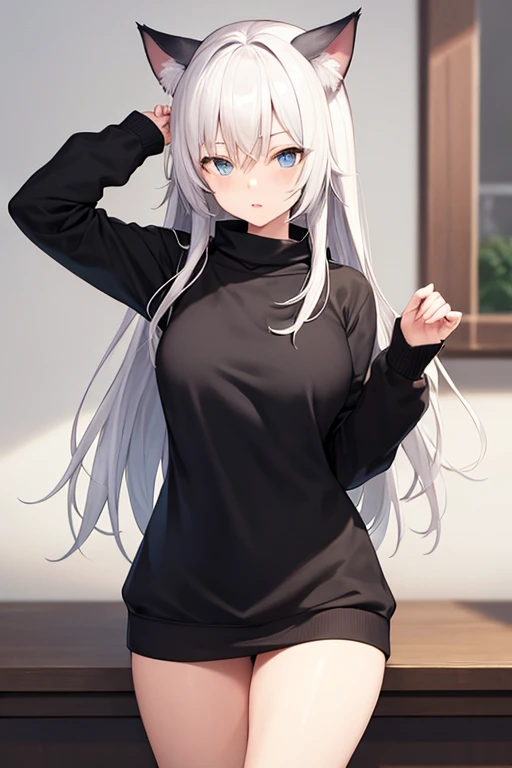 (drawning),Female character, Cats ears,blue eyes, black sweatshirt,LONG white hair