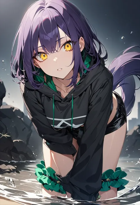 1 girl, masterpiece, top quality, fair skin, golden eyes, big eyes, dark purple hair, side tail, shorts, black belt, green jewel, frills, black hoodie, water