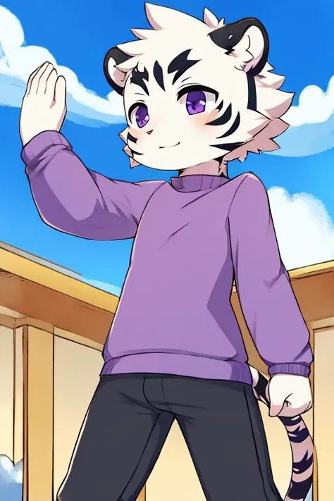 White fur tiger, little, with white tail, purple sweater, black shirt