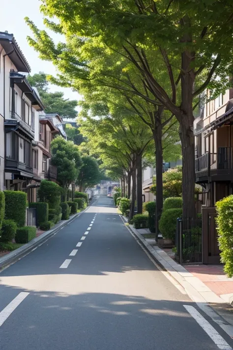 High-end residential street、Overlooking