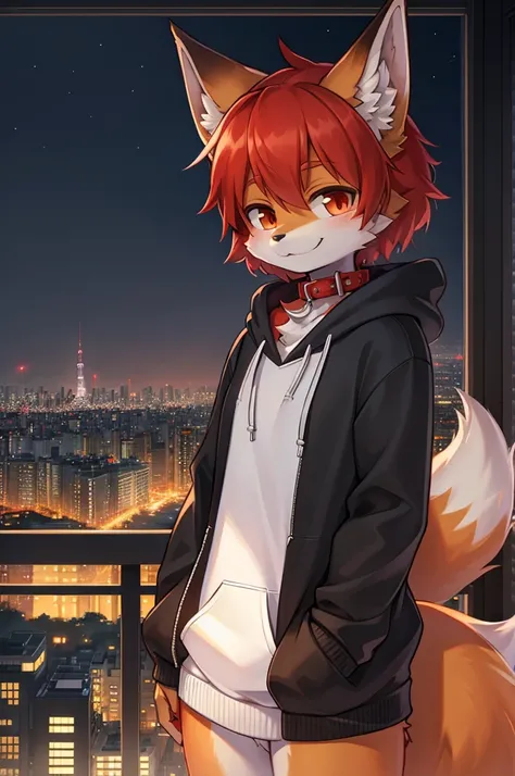 fox boy,Hoodie outfit,8k resolution,high resolution,最high resolution,Its dark outside,View from the veranda,Big city with skyscrapers！！！The cityscape of Tokyo？smile,Red collar