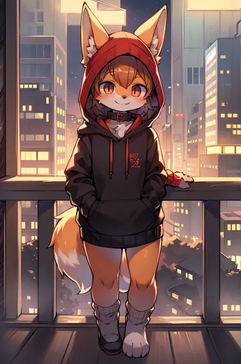 fox boy,Hoodie outfit,8k resolution,high resolution,最high resolution,Its dark outside,View from the veranda,Big city with skyscrapers！！！The cityscape of Tokyo？smile,Red collar,Street style clothing,Knitted hat,