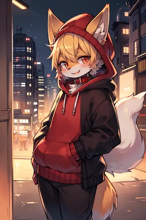 fox boy,Hoodie outfit,8k resolution,high resolution,最high resolution,Its dark outside,View from the veranda,Big city with skyscrapers！！！The cityscape of Tokyo？smile,Red collar,Street style clothing,Knitted hat,