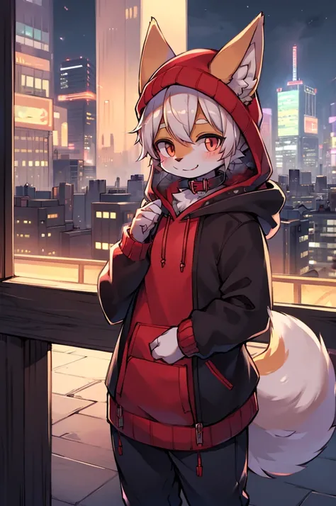 fox boy,Hoodie outfit,8k resolution,high resolution,最high resolution,Its dark outside,View from the veranda,Big city with skyscrapers！！！The cityscape of Tokyo？smile,Red collar,Street style clothing,Knitted hat,