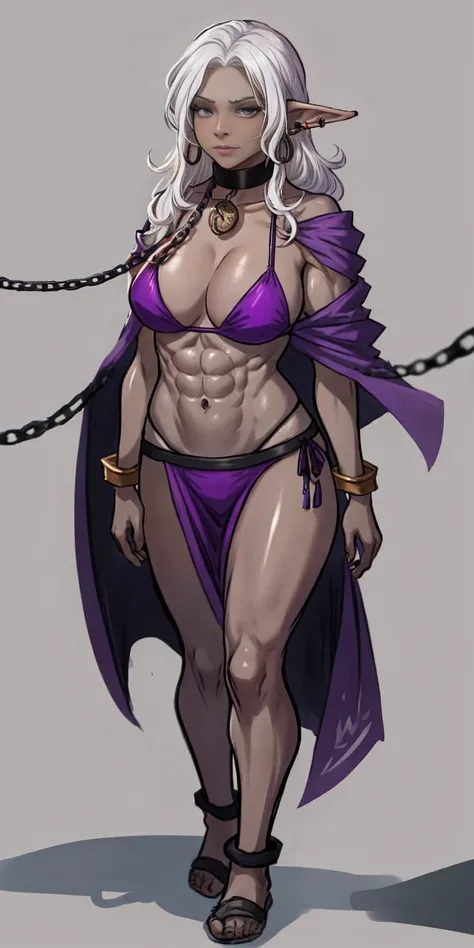 Appearance
Gender: Female
Age: Mature
Race: Drow (elf with dark skin and white hair)
Height: Full-body
Skin: Gray
Background: Plain Gray
Eyes: Purple
Attire: Bikini, revealing abdominal muscles
Accessories: Large earrings, ragged rags, chain necklace, leat...