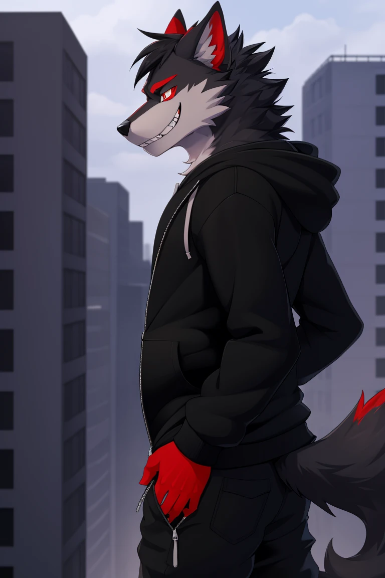 (4k , ultra detailed , flat colored)Furry werewolf , black wolf，Wear a black zip up hoodie，((hoodie is unzipped)) , dark grey pants , wolf tail , 1tail , tail on waist , malicious grin , blood red eyes , standing over a building ledge