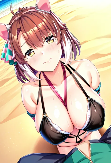 nsfw,1girls, dantsu_flame(umamusume),(shiny skin),from above,pov,cleavage focus,upper body,(clothed black bikini),shibari,arms behind back,large breasts,:>, blush,  navel,sweat, looking at viewer,kneeling,(beach), lighting front,BREAK (realistic),soft-edge...