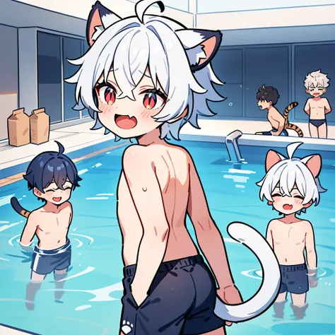 （masterpiece：1.2，high quality），4K，High resolution，A four-year-old boy，cute boy， white hair，short hair，crossed bangs，red eyes，slit pupils， ahoge，cat ears，laughing，skin fang，no sports top，Topless，dark blue swimming trunks，Standing in the pool，primary school ...