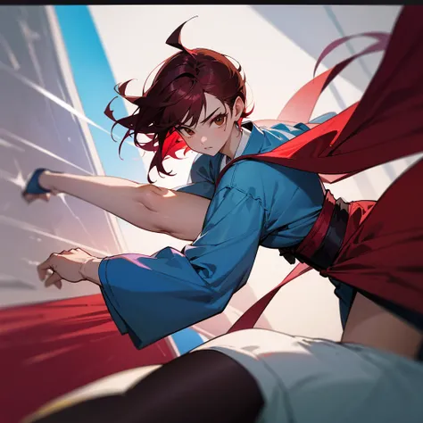 A beautiful fighter (shorth hair) (Brown eyes) (maroon hair) and with a blue judo kimono in a really cool pose