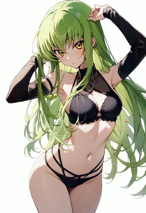 score_9, score_8_up, score_7_up,best quality,masterpiece,aesthetic,very aesthetic,1girl, c.c., code geass,green hair, long hair,medium breasts, yellow eyes,black bikini,mediumshot, simplebackground,whitebackground