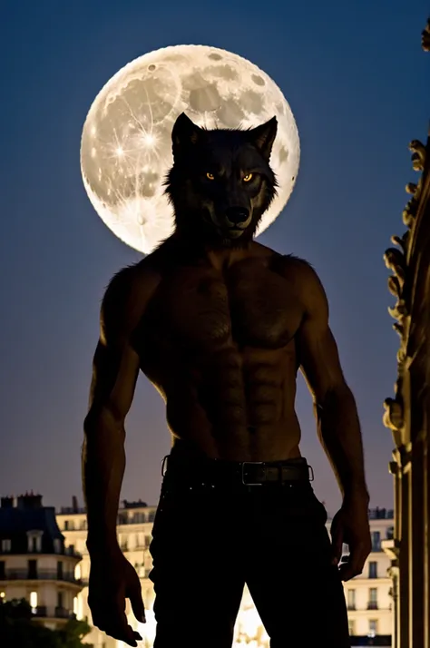 full moon in paris, Werewolf