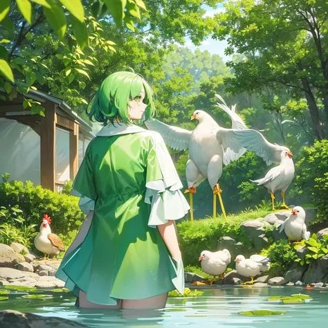 In big clean pond green turtle ( whose colour are green ) and two white chicken( who have red beak ) are stand near the pond, two chicken stand near the pond and also tortoise ( who have green color) 🐢 stand near the chickens