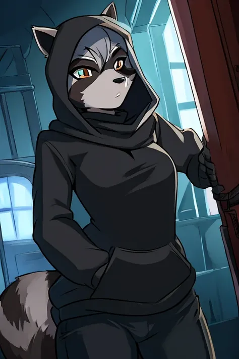 Raccoon woman, long gray hair, black hood, black sweater, black pants, thief