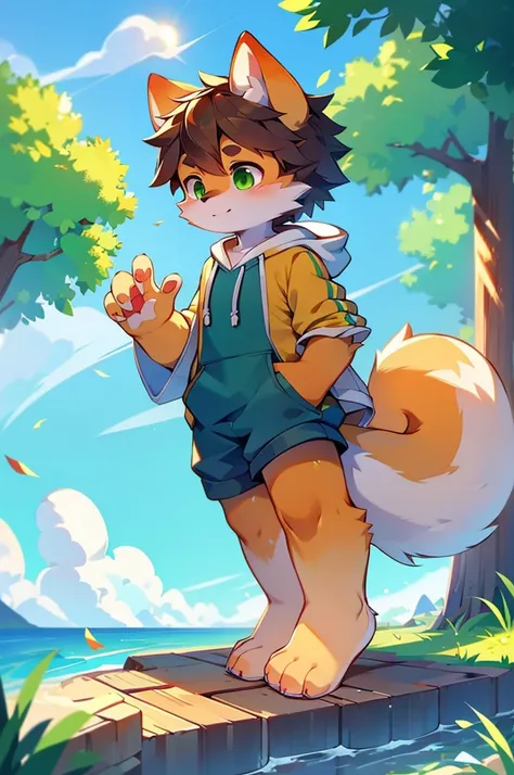 Furry,Fox,boy,8k resolution,最High resolution,                   High resolution,Sea view,Wearing a hoodie,Green Eyes,summer,Stand on your feet,Two legs,Five fingers on a hand,Five toes,