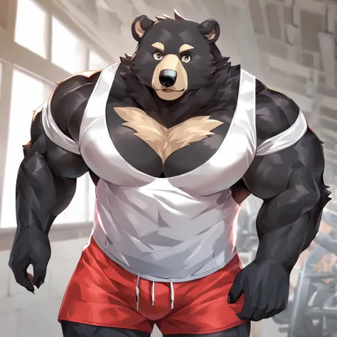 Black Bear，Gym Shorts,    personification，Strong Man，Bodybuilder。