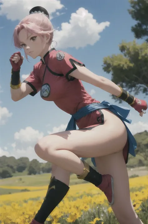 masterpiece, Highest quality, martialMaam, Hair Bun, short hair, China dress, Short sleeve, sash, Fingerless gloves, Combat Stance, From the side, View your viewers, slender, blue sky, Field, Standing on one leg