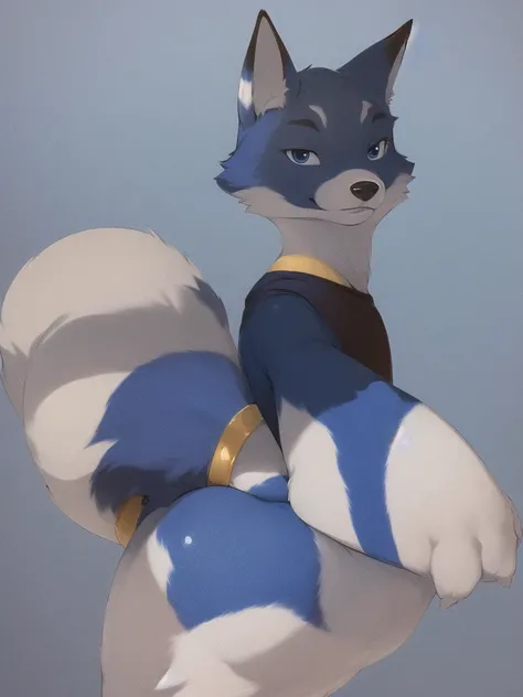 e6top150, grainy, portrait, symmetric, upper body, (bright colorful Navy blue eyes:1.1), markings, furry male, body fur, anthro Fox, solo, Cartoon, (best quality, masterpiece:1), detailed, Super flat chest, Gray fur, Thicc thighs,  Wide hips, Large butt, C...