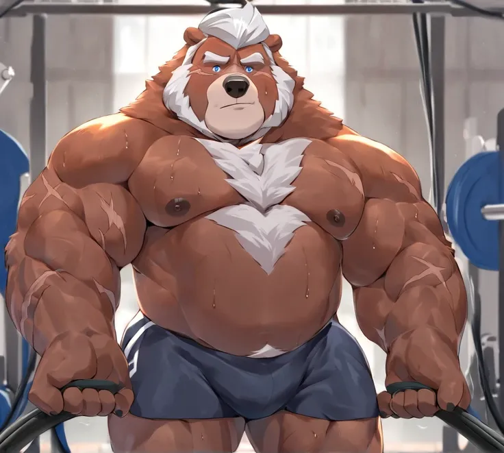 Solo,  1boy,   Grizzly Bear，personification，Mature male，Hercules， Short White hair，naked，Gentle expression，Blue pupils，gray eyebrows，Scars on face and chest，Shirtless,   topless，Huge Muscular,    Gym Shorts,  Thick Arms,   Hands Pulling Cable Flyes， Cable ...