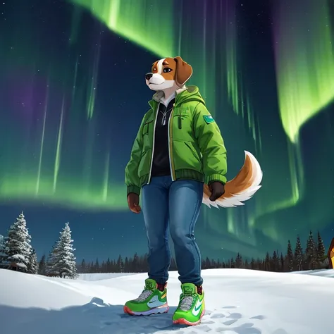 Masterpiece, best quality, high quality, One furry dog girl, Beagle furry, has Brown eyes, wears green jacket with farmer jeans, look in the sky, see the Northern Lights, Night, standing in the snow, Nike shoes on her foot