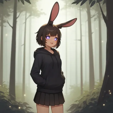 source_anime, score_9, score_8_up, BREAK Best girl, rabbit ears, (sparkling eyes:1.1), hoodie, skirt, forest background