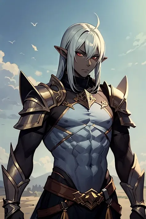 1 man DARK Elf gray skin tone, with pointy ears MESH ARMOR covering the entire body in fantasy world style