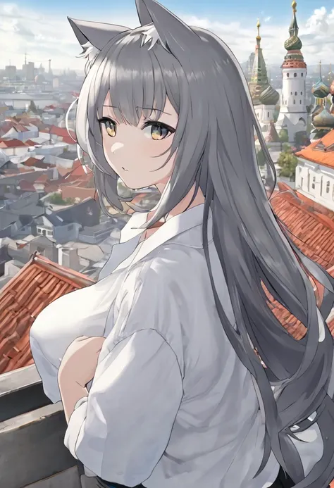 One girl, That will happen, View your viewers, Gray Hair, there is nothing, Cat ear, Feline tail, White shirt, Open clothes, Russian cities, ba-shiroko