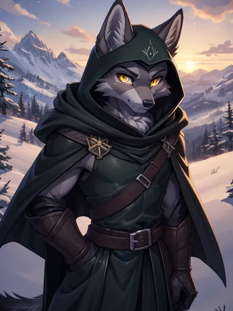 (((sfw))), high quality, best quality masterpiece, the best definition add_detail:1 aesthetic and lighting details silver fox male master rogue, modest black flanged leather armor, with dark green cloak, mature femboy, serious intense expression, thin body...