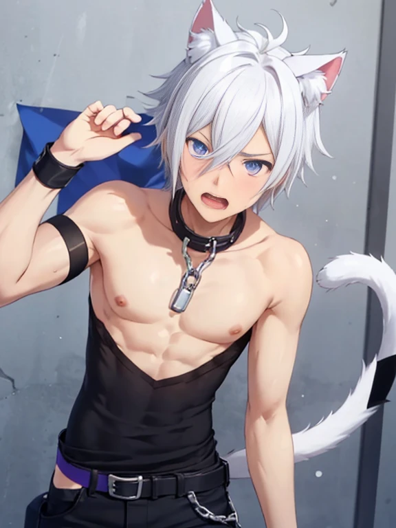 1 young person,alone,18-year-old,male,shocked facial expression,blush,good looking,white hair blue eyes,purple eyes, cat ear　sid...