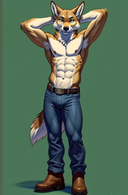 solo, male, tan color fur coyote, canine coyote, small twink body,  topless, showing his penis and balls, (blue tight jeans, pull down, pants_down with brown cowboy boots), arm raise hand behind his head, showing his armpit, (Portrait Focus), head to foot,...