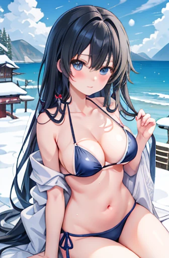 2D, masterpiece, The best quality in the best condition, Japanese Manga, blue eyes, Long black hair、 Large Breasts,, Chopping, Sexy Bikini，Sea Beach，（Yukino Under the Snow）