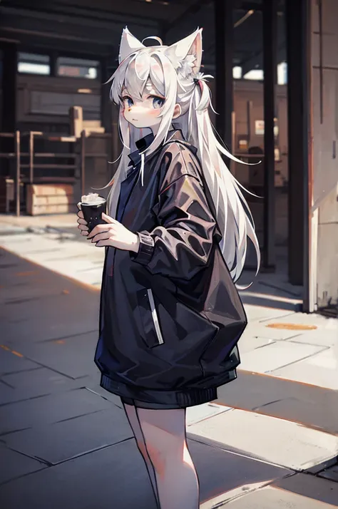 furrygirl, gray eyes, white long hair, cat ear, cat tail, street fashion, masterpiece, best quality, aesthetic