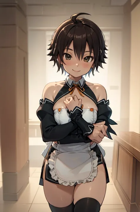 (masterpiece, best quality:1.2), cowboy shot, solo, 1girl, dccnao, smile, looking at viewer, hand on own chest, waitress, apron, detached sleeves, black thighhighs, bare shoulders 