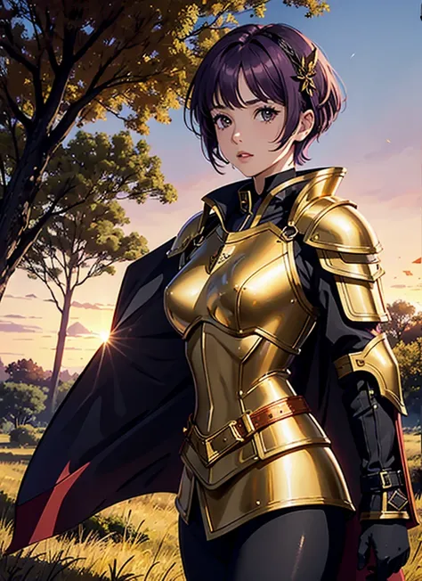 1 girl solo, short purple hair, dark brown eyes, red head Ribbon, she wears knight armor, with golden breastpiece, golden shoulder pads, black skirt, with armored leggings, shes standing in a field by a giant tree, sunset, virbant, god rays