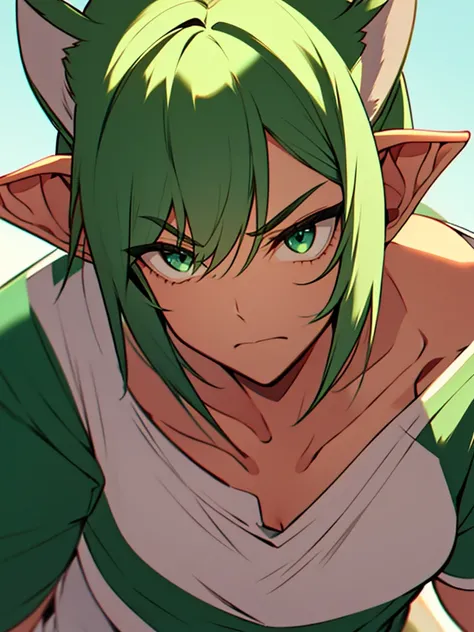 A man with very short white and green hair, with bangs parted in the middle, emerald eyes. wearing a white t-shirt, has elf ears, fairy winged,and was angry