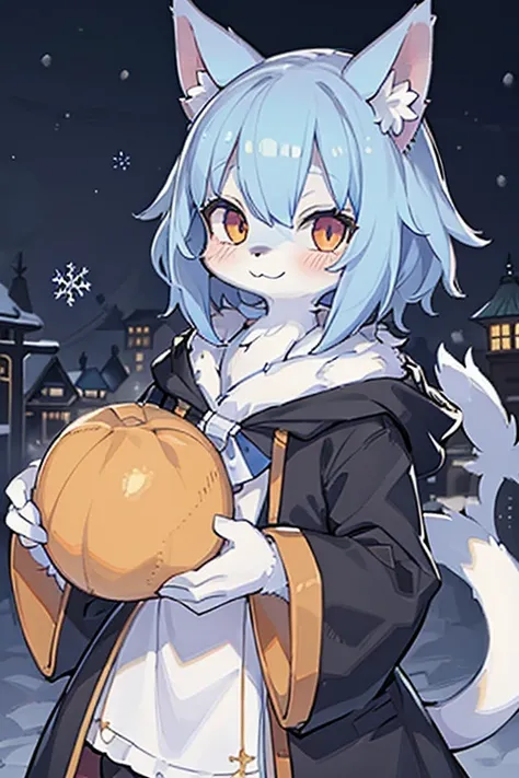 Snow Town ,((Highest quality)), Furry, Wizard Cat, Animal ears, tail, Body Fur, One girl, throw, Upper Body, One girl, alone, short hair, smile,Black Robe、Calico