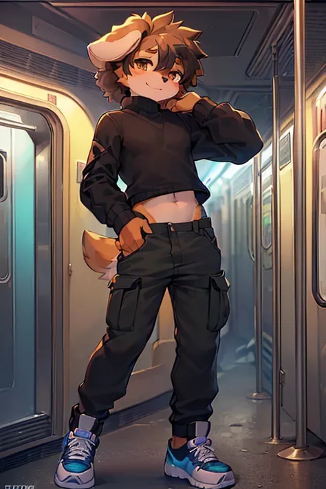 ((SFW)) ((cute, furry, Australian Shepherd dog boy femboy wearing dark tan cargo pants, a gray long sleeve croptop sweater, a black bodysuit underneath, and blue hightop shoes ((best quality)) ((hands behind head)) ((Subway train background))