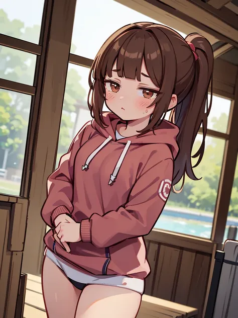 ((masterpiece, best quality, extremely detailed, absurdres)), 
1girl, (Blunt bangs:1.4), brown hair, brown eyes, low pony tail, (hoodie), (buruma:1.6), cowboy shot, river, (gym uniform),