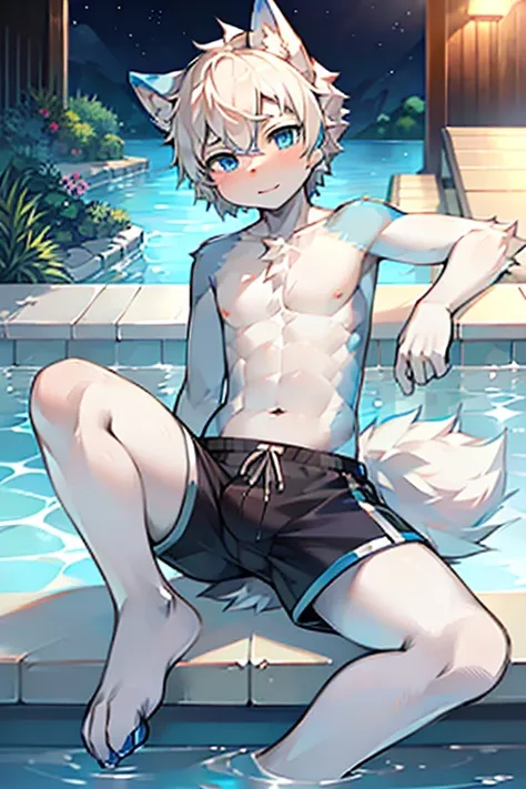 , White and blue fur, Shota, blue eyes, Messy hair, White hair, short hair, masterpiece, Very detailed, Swimming pants，Topless solo，Sitting，Open your legs，，Looking at the camera，By the pool，Wolf&#39;s facial features，Blue hair，Wolf paw，Wolf Tail，Happy expr...