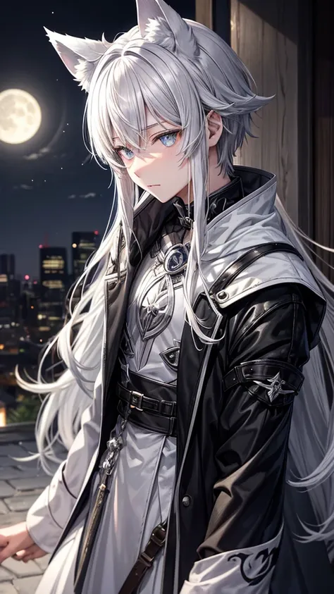 Moonlit Night　Wolf ears　Gray Hair　White eyes　juvenile　male性　male　boy shortcut