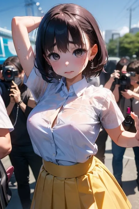 NSFW、(Japanese Girl)、masterpiece, 最high quality, high quality, High precision,Highly detailed 8K wallpapers、Beautiful Skin、(White shirt、Navy Skirt、Brown loafers)、((Photo session、Surrounded by many photographers、The camera is pointed at))、(amusement park)、(...