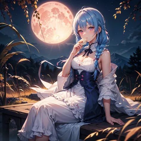 Sky blue hair, (Braided medium hair), (Pink eyes),Fair skin)  ,(whole body),(One Girl),(harvest moon),(A large amount of Miscanthus sinensis in the background),(full moon),(masterpiece, Highest quality, Very detailed, Best Shadow), (Detailed Background), (...