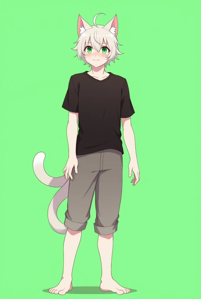 solo, tail, shirt, animal ears, furry, black shirt, pants, green eyes, standing, full body, calico cat, green background, short sleeves, short hair, white hair, looking at viewer, body fur, closed mouth, smile, furry male, male focus, barefoot, 1boy, cat t...