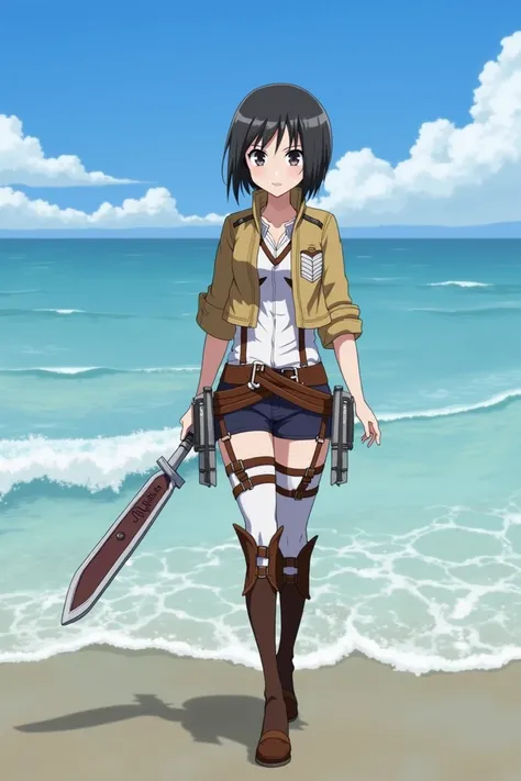 Attack on Titan，Mikasa，seaside，Stockings，Blue sky

