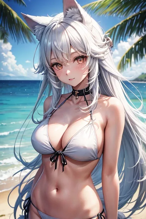 Girl，White long hair，Wolf ears，Beach，Bikini