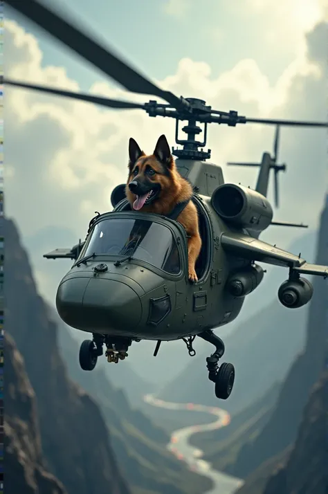 Dog and helicopter 