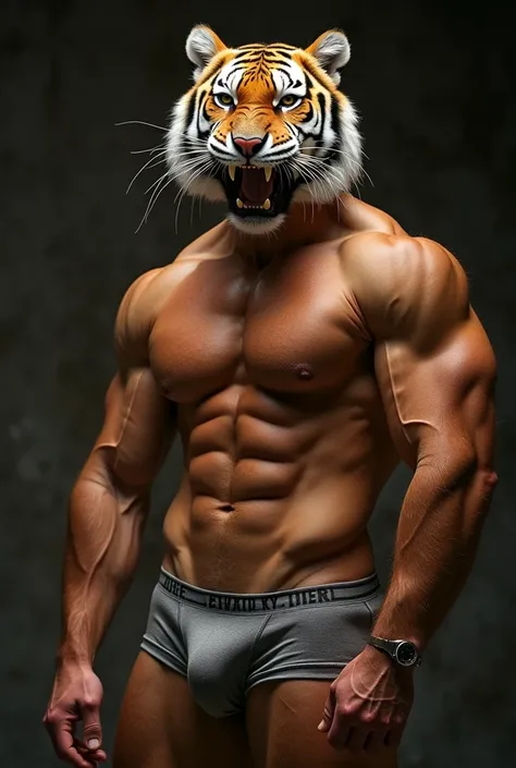 Furry tiger, man, muscle, butt up, kneel, bright, show dick, underwear