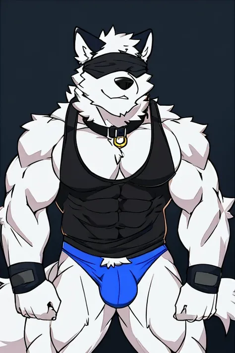 Alaskan Malamute dog black and white fur, muscular, with black sleeveless shirt, furry, with eyes covered, blue underwear, with dog collar and leash